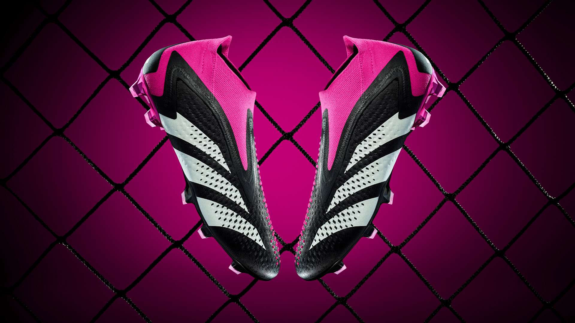 体系建设 体系建设